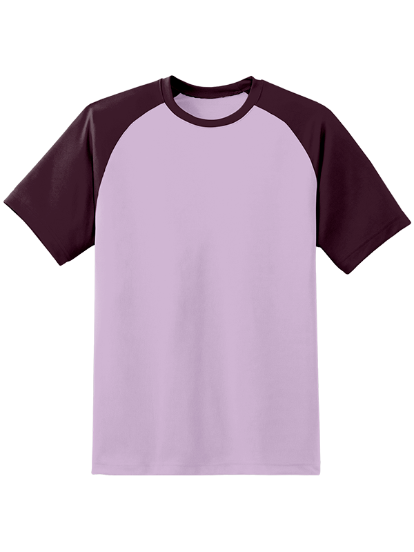 Мужская классическая футболка реглан с баклажановыми рукавами и сиреневым телом